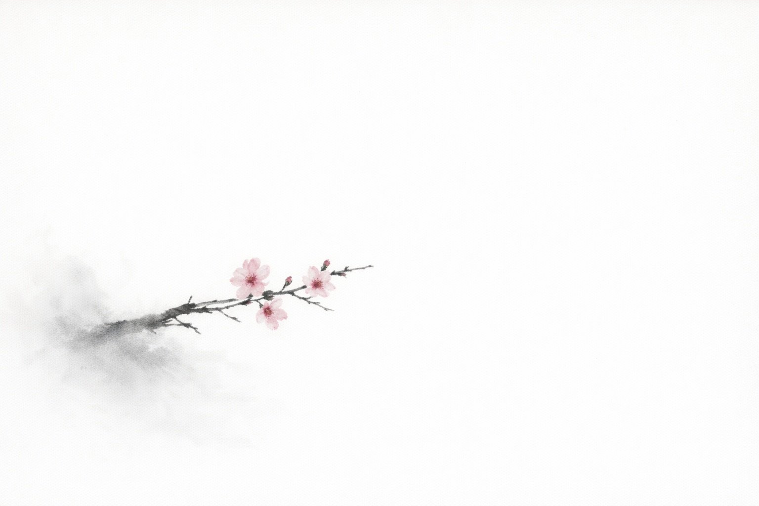 Minimal sumi-e cherry blossom branch emerging into white space.